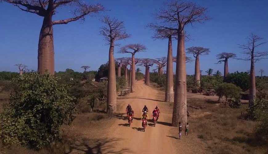 Enduro sport : The track Baobab
